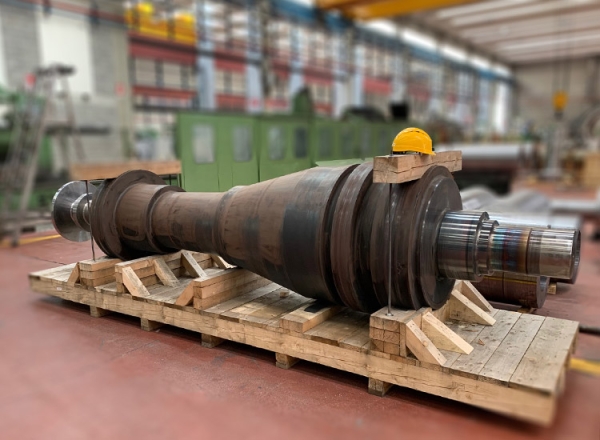 VALVE FOR NUCLEAR PLANT
