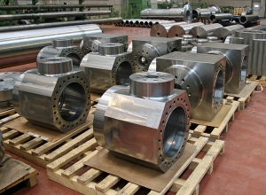 Valves for nuclear plant