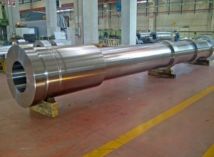 Ringmill VESSEL FOR AUTOCLAVE REACTOR